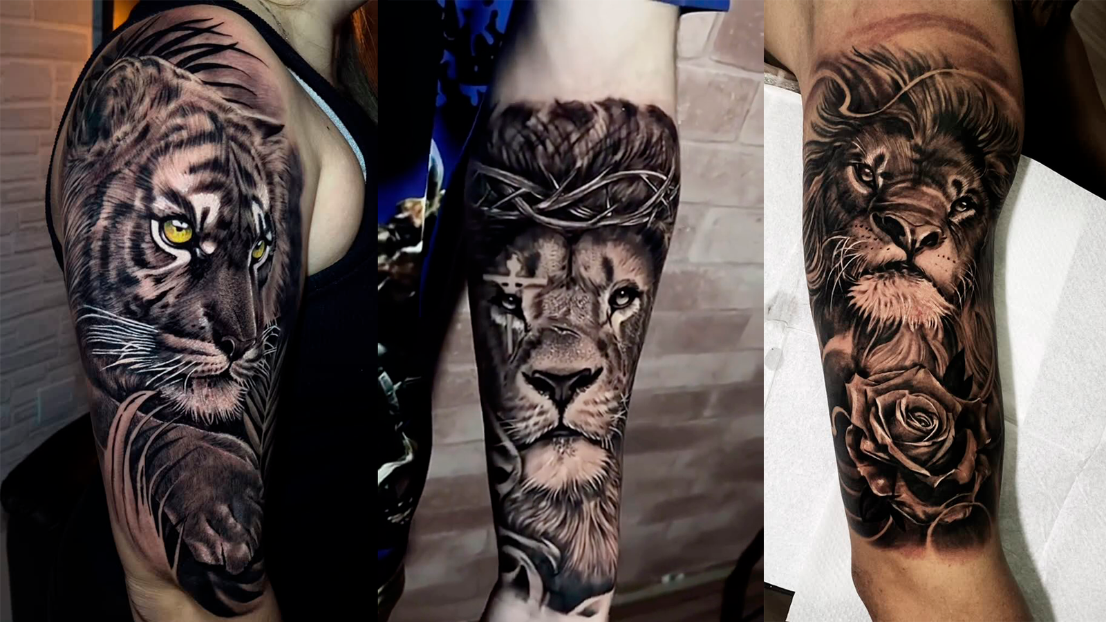 Tattoo Animais