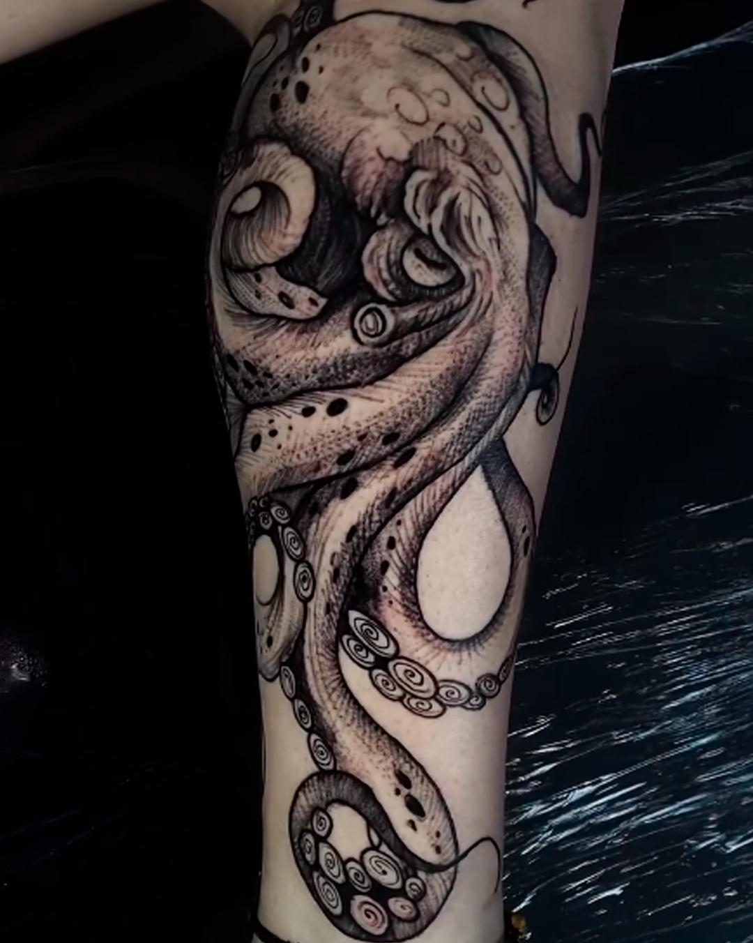 Tatuagem Polvo